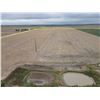 Image 9 : 152 +/- Acres of Dryland