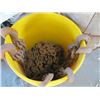 Image 2 : BUCKET W/3 CHAINS