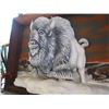Image 2 : LG. 3D BUFFALO PICTURE
