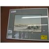 Image 1 : ARTIST FRAMED WATERCOLOR OF BUSHES & SAND