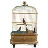 Image 1 : 5 Cent Coin-Op Musical Bird Cage w/ 3 Singing Birds - 1