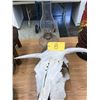 Image 1 : Skull and Antique Lantern Base