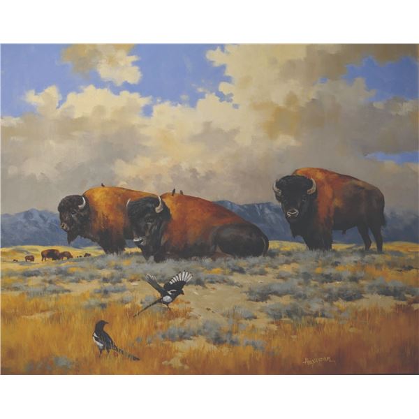 Colin Alexander - A Band of Montana Brothers