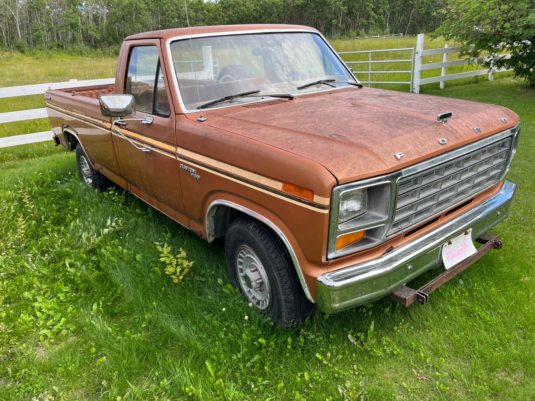 1981 F150 Ford - was running last year