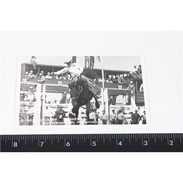 #1228 E-96 CALGARY STAMPEDE JACK BUSCHBOM