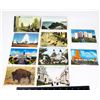 Image 1 : #1232 LOT OF 9 VINTAGE AMERICAN COLOUR POSTCARDS