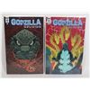 Image 1 : #2079 LOT OF 2 IDW COMICS GODZILLA OBLIVION