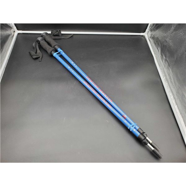 Winter Walker Trekking Poles