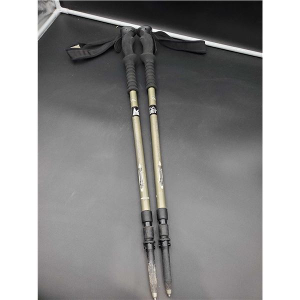 Ultralite AntiShock Trekking Poles