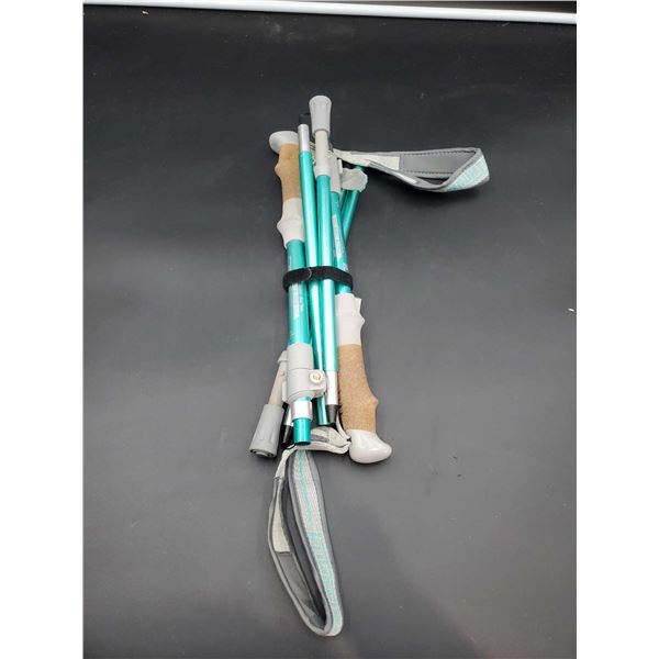 Halite Trekking Poles