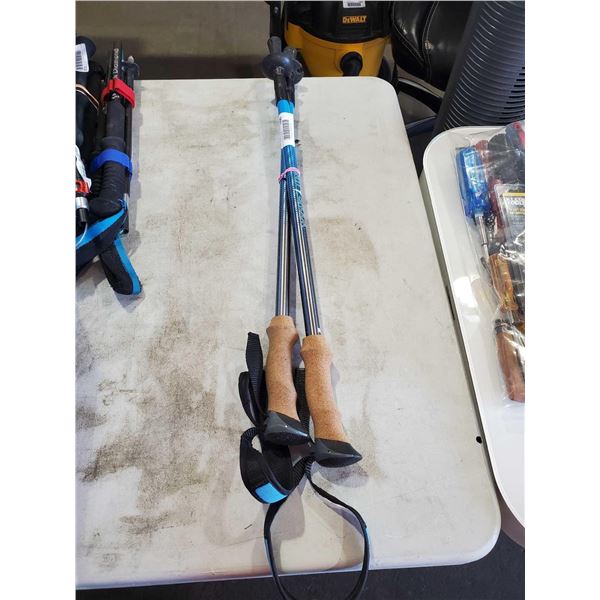 Set of 2 Collapsible Hiking Poles