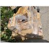 Image 2 : Pallet Lot of Firewood