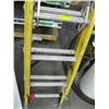 Image 2 : 30' EXTENSION LADDER