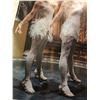 Image 8 : "Superhero Show - Season 7 Ep. 4" - #104 Hero Stunt - Complete dancers outfit -includes Sequin & Fea