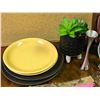 Image 2 : "Motherland: Fort Salem" Sterling's apartment contents - plates / 2 small artificial plant pots / mo