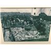 Image 2 : "The Cove Collective" - Framed wall hanging "A lot of fish" (value $1200) approx 33in x 27in