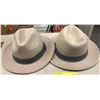 Image 2 : "Superheroes Show" - Group of 2 matching gray fedora hats
