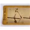 Image 3 : Antique Stereoview Card Woman on Log