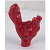 Image 1 : Chinese Red Branch Coral