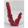 Image 3 : Chinese Red Branch Coral
