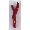 Image 5 : Chinese Red Branch Coral
