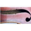 Image 13 : Antonius Stradivarius Violin Copy