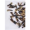 Image 5 : Lot of 50 Fossilized Buffalo Teeth