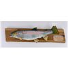 Image 1 : Montana Trout Fish Taxidermy Mount