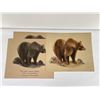 Image 1 : Iwogene Farnsworth Bear Prints