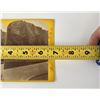Image 5 : JW Powell Survey Stereoview Utah Territory