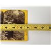Image 5 : JW Powell Survey Stereoview Utah Territory