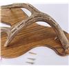Image 9 : Montana Deer Horn Cribbage Board