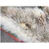 Image 5 : Taxidermy Lynx Rug