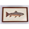 Image 1 : Ron Jenkins Montana Brown Trout Print
