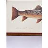 Image 2 : Ron Jenkins Montana Brown Trout Print