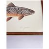 Image 3 : Ron Jenkins Montana Brown Trout Print