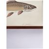 Image 3 : Ron Jenkins Montana Dolly Varden Trout Print