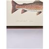 Image 2 : Ron Jenkins Montana Cutthroat Trout Print