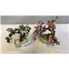 Image 1 : TWO JADE TREES