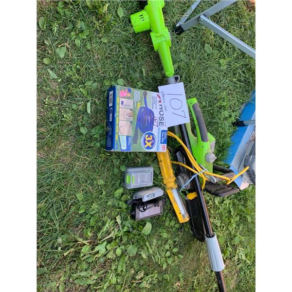 Chain saw and tree limber