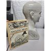 Image 2 : Large Phrenology Brain Sculpture (17 inch) + Amazing Brain Book
