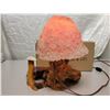 Image 5 : Vintage Wood Burl and Coral Lamp – Working – 10.5x11.5 inch