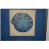 Image 2 : FRAMED ARTIST PROOF, "NAUTILUS"; SIGNED NANCY SPALDING (13 3/4" X 14 3/4")