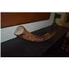 Image 3 : JEWISH SHOFAR KUDU HORN (25")
