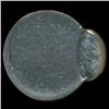Image 2 : 19?? Jefferson Nickel MS64 Graded Error (COI-4152)