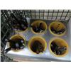 Image 2 : S/S Flatware Caddy w/Flatware