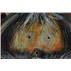 Image 2 : HOPI INDIAN PAINTING ( R. SAHMIE)