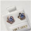 BZ1081-18 10K TANZANITE 2IN1 EARRINGS