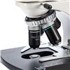 Image 3 : NEW SWIFT BINOCULAR COMPOUND MICROSCOPE