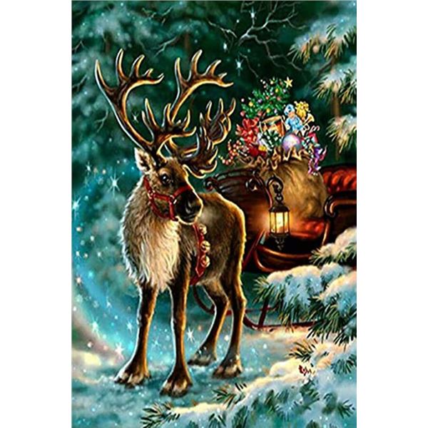 NEW DIY PAINT BY NUMBERS KIT REINDEER